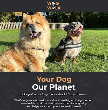 60 Extra Thick Compostable Dog Poo Bags